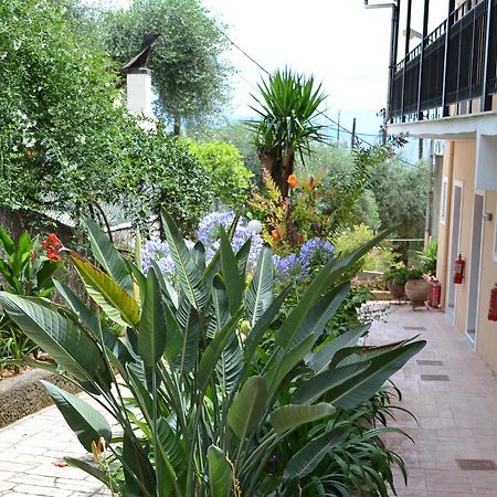 Iliana Studios Benitses  Exterior photo