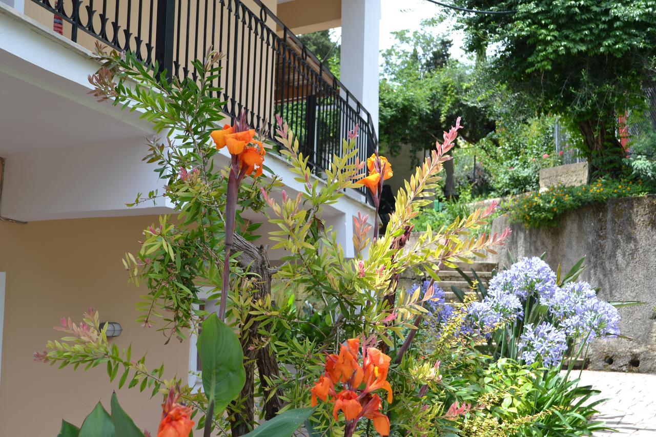 Iliana Studios Benitses  Exterior photo